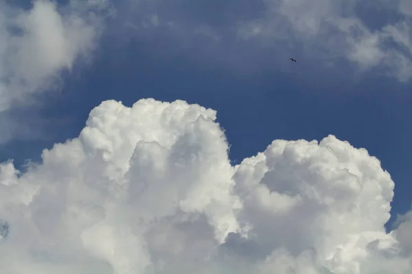 Vista Nubes Grandes Densas Con Cielo Azul Una Mosca Gaviota — Foto de Stock