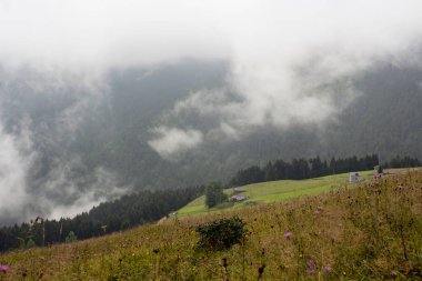 Dağdaki yüksek plato köyü ve sisli orman manzarası güzel bir doğa manzarası yaratıyor. Fotoğraf, Türkiye 'nin kuzeydoğusunda yer alan Karadeniz bölgesinin Trabzon / Rize bölgesinde çekildi..