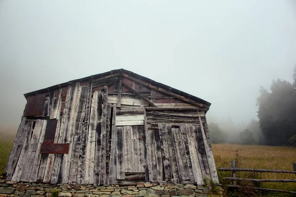 Vista Piccolo Legno Casa Tradizionale Foresta Montagna Campo Erba Nella — Foto Stock