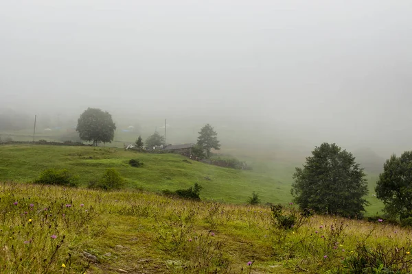 Vista Del Pueblo Meseta Alta Montaña Los Árboles Niebla Creando —  Fotos de Stock