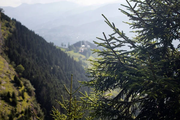 Vue Village Haut Plateau Des Montagnes Forêt Créant Une Belle — Photo