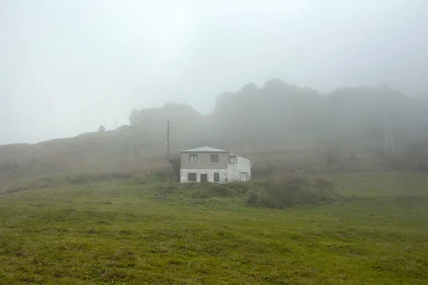 Pemandangan Rumah Dataran Tinggi Pohon Dan Rumput Dalam Kabut Menciptakan — Stok Foto