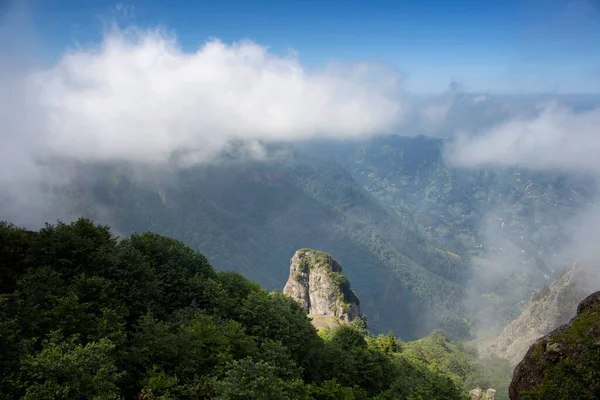Vista Montañas Bosques Valles Niebla Creando Una Hermosa Escena Naturaleza —  Fotos de Stock
