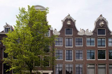 Hollanda mimari tarzını ve Amsterdam 'da bir ağacı gösteren tarihi, geleneksel ve tipik binaların manzarası. Güneşli bir yaz günü..