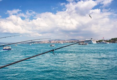 İstanbul 'daki Haliç Köprüsü' nden İstanbul manzarası ve bir martı uçuyor
