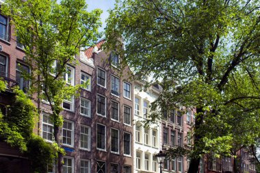 Amsterdam 'da Hollanda mimari tarzını ve ağaçlarını gösteren tarihi, geleneksel ve tipik binaların manzarası. Güneşli bir yaz günü..