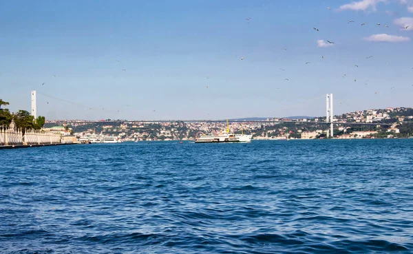 Troupeau Mouettes Vole Vers Pont Bosphore Istanbul — Photo