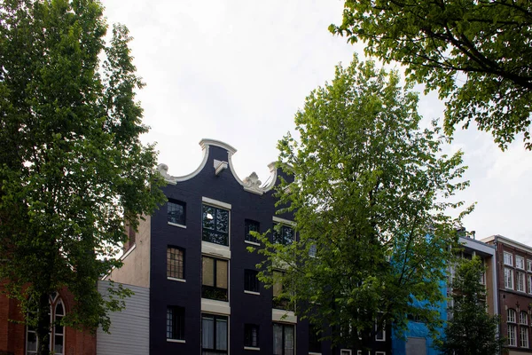 反映荷兰建筑风格和阿姆斯特丹树木的历史 传统和典型建筑景观 这是一个阳光灿烂的夏日 — 图库照片