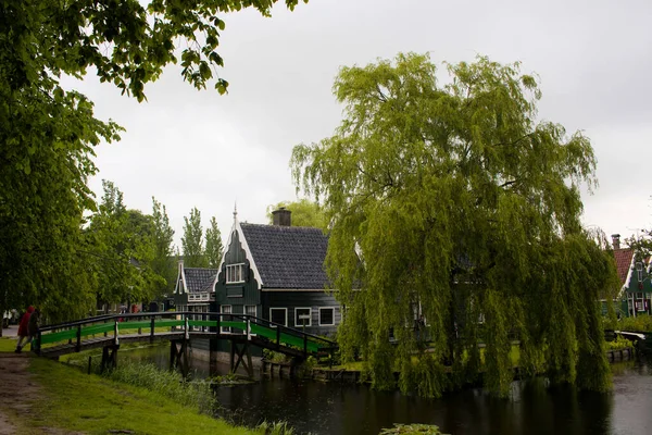 Вид Деревянные Дома Канал Деревья Районе Zaanse Schans Голландском Городе — стоковое фото