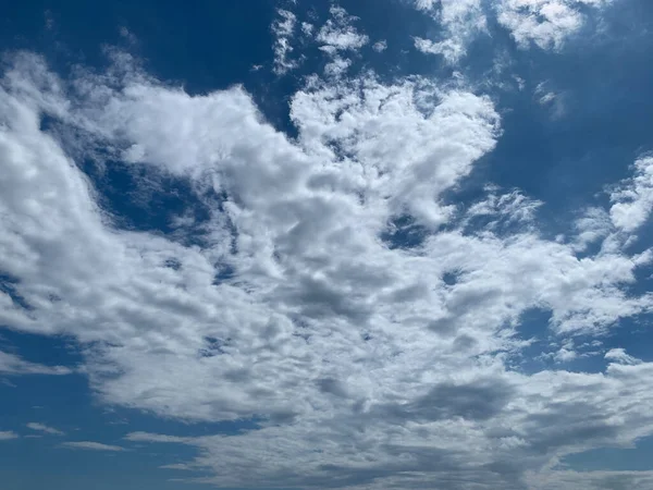 과푸른 하늘의 — 스톡 사진