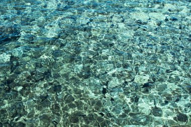 Kristal berrak turkuaz su ile kayalık taşlı zeminin yakın görüntüsü Bodrum şehrinde.