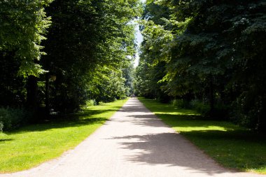 Tiergarten 'a bir bakış açısı. Berlin 'in aile rahatlığı da dahil olmak üzere en büyük & eski parkı, yürüyüş yolları ve bir zafer sütunu.