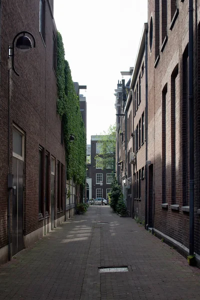 Uitzicht Traditionele Historische Gebouwen Met Bakstenen Muren Amsterdam Het Zonnige — Stockfoto