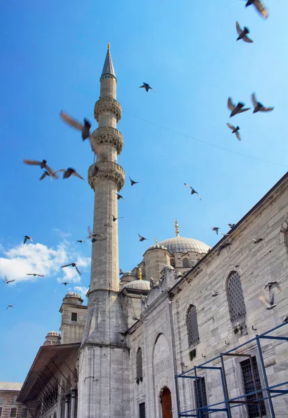 Vue Mosquée Yeni Eminonu Istanbul Avec Des Pigeons Volant Mouvement — Photo