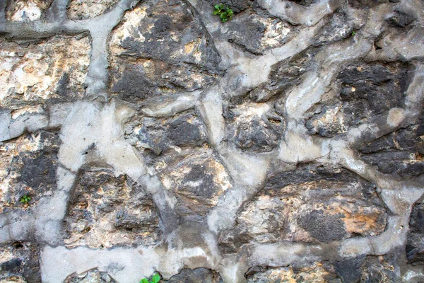 Стара Кам Яна Стіна Туреччині — стокове фото