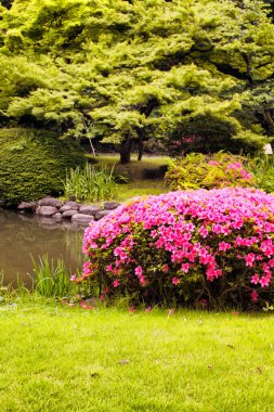 Tokyo 'daki Shinjuku bahçesindeki yapay göl ve açelya manzarası