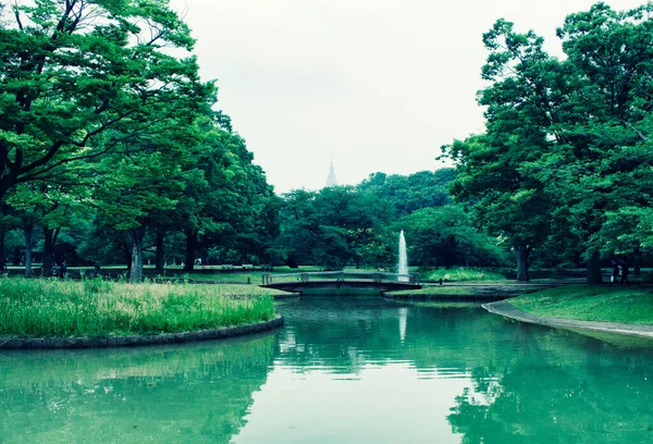 Water Fountain Yoyogi Park Tokyo — Stock Photo, Image