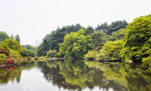 Veduta Del Lago Artificiale Nel Giardino Shinjuku Tokyo — Foto Stock