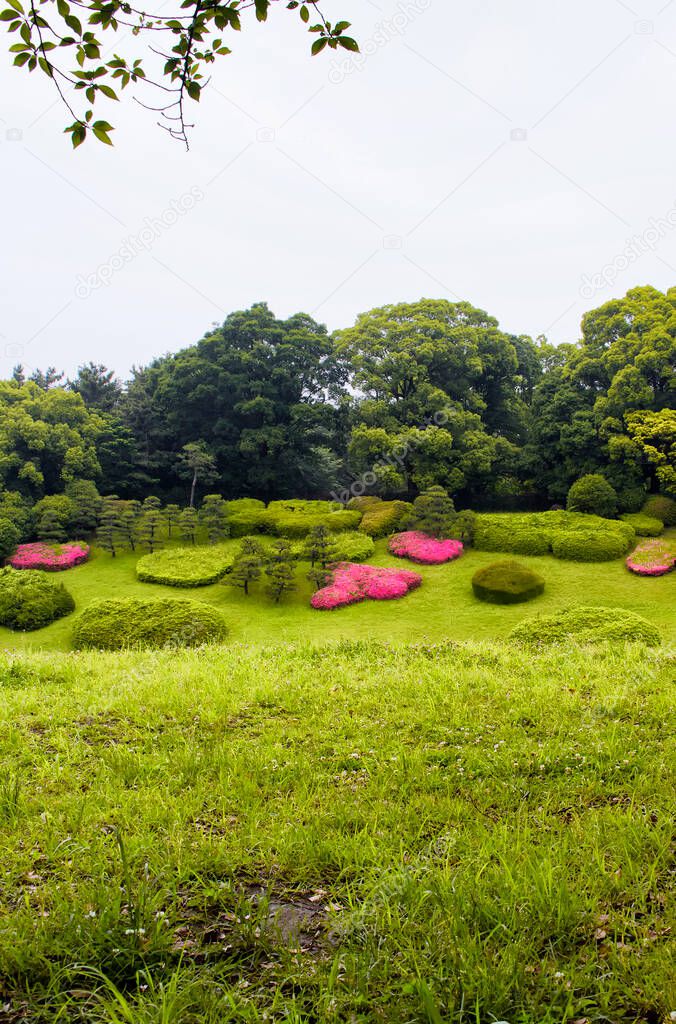 Yoyogi Park in Tokyo