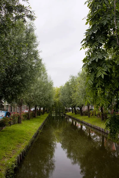 Veduta Fiume Alberi Voldendam Una Città Olandese Nord Est Amsterdam — Foto Stock