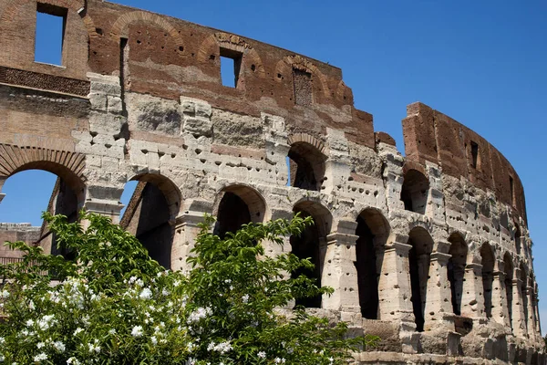 Vista Perto Coliseu Roma — Fotografia de Stock
