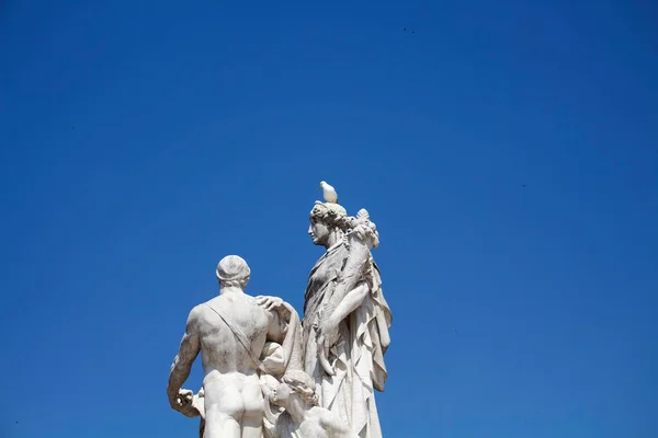 Piccione Cima Alla Statua Fronte All Altare Della Patria Con — Foto Stock