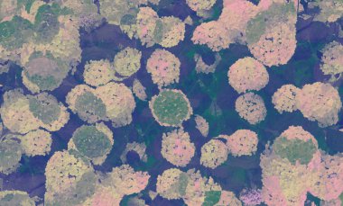 Fotoğraf kolajı tekniğiyle yapılmış çiçek desenli dijital arkaplan sanatı. Tazelik baskın bir şekilde kullanılan mavi ve yeşil renklerle yaratılır..