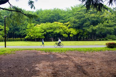 İnsanlar Tokyo 'daki Yoyogi parkında doğanın tadını çıkarıyor.