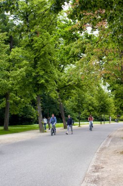 Amsterdam 'daki Vondelpark' ta bisiklet süren, yürüyen, ağaç ve yol gezen insanların görüntüsü. 47 hektarlık bir halk parkı. Bu bir yaz günü..