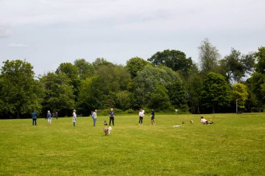 Köpekleri ve Amsterdam 'daki Vondelpark' taki ağaçlarla çim tarlasında takılan insanların görüntüsü. 47 hektarlık bir halk parkı. Bu bir yaz günü..