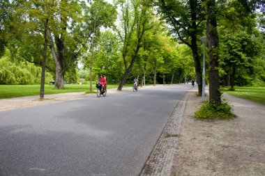 Amsterdam 'daki Vondelpark' ta bisiklet, ağaç ve yol kullanan insanların görüntüsü. 47 hektarlık bir halk parkı. Bu bir yaz günü..