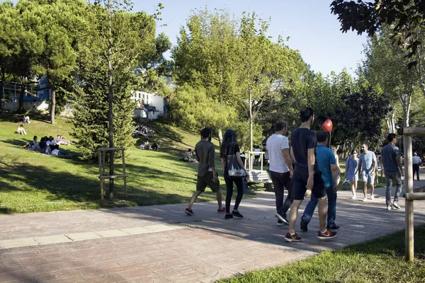 Vista Persone Che Camminano Appendere Fuori Sul Terreno Erboso Parco — Foto Stock