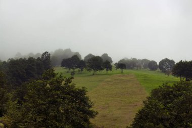 Dağ ormanı, çim tarlası ve sis manzarası güzel bir doğa manzarası yaratıyor. Fotoğraf, Türkiye 'nin kuzeydoğusunda yer alan Karadeniz bölgesinin Trabzon / Rize bölgesinde çekildi..