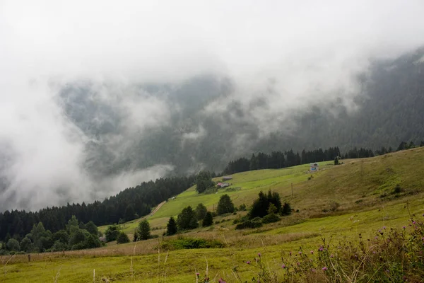 高山高原村风景与雾中的森林 营造出美丽的自然景观 该图像是在位于土耳其东北部的黑海地区Trabzon Rize地区拍摄的 — 图库照片