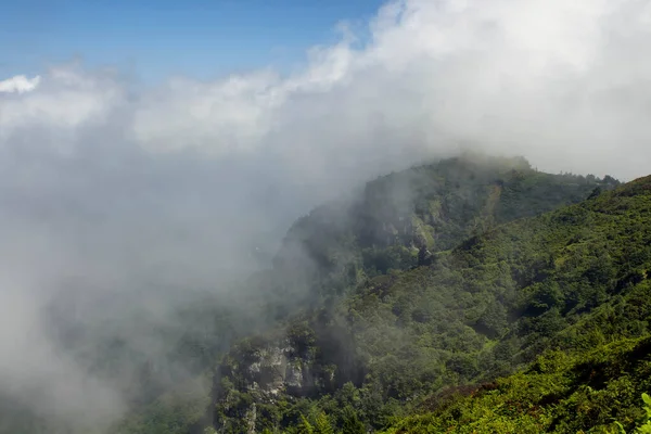 Vista Cima Montaña Con Árboles Niebla Creando Una Hermosa Escena —  Fotos de Stock