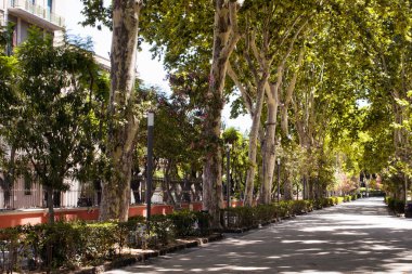 İtalya 'nın Sicilya kentindeki Parco Maestranze (halk parkı) manzarası. Güneşli bir gün..