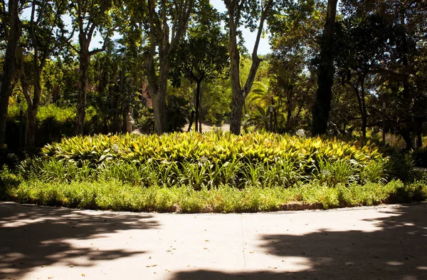 Vista Parco Maestranze Parque Público Cidade Catania Região Sicília Itália — Fotografia de Stock