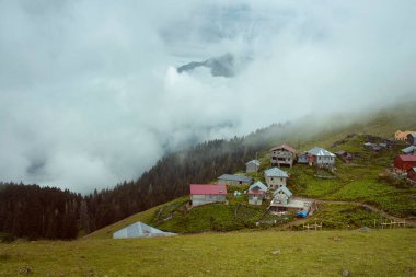 Gito adında bir dağ (yüksek plato) köyü, orman ağaçları, cam tarlaları ve sis. Fotoğraf, Türkiye 'nin kuzeydoğusunda yer alan Karadeniz bölgesinin Rize bölgesinde çekildi..