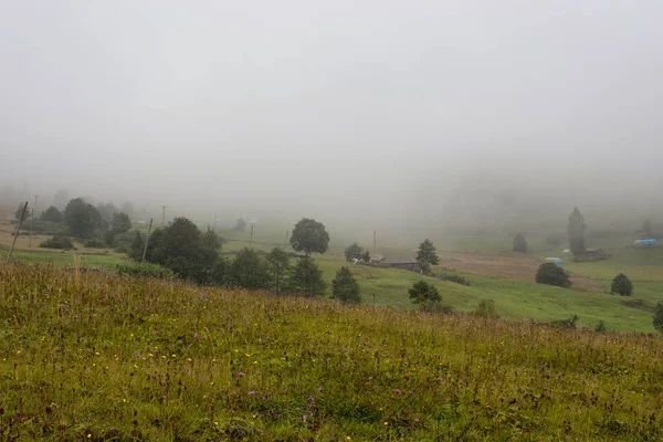 Vista Aldeia Planalto Alto Montanha Árvores Nevoeiro Criando Bela Cena — Fotografia de Stock