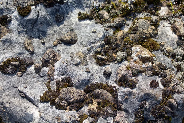 Vue Sur Les Rochers Montagne Mousse Image Est Capturée Dans — Photo