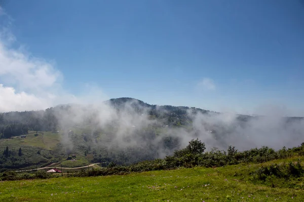 高原村景色 森林与高山在雾中 营造出美丽的自然景观 该图像是在位于土耳其东北部的黑海地区Trabzon Rize地区拍摄的 — 图库照片