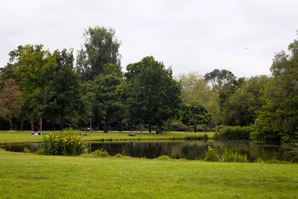 Veduta Persone Che Escono Alberi Prati Laghi Vondelpark Amsterdam Tratta — Foto Stock