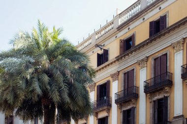 Barcelona 'daki ünlü şehir meydanındaki 