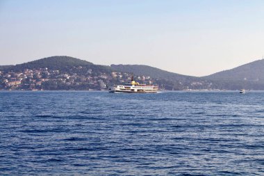 İstanbul 'un arka planında Prens adaları olan geleneksel feribot manzarası.