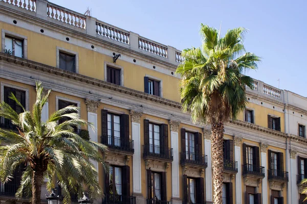 View Palm Trees Historical Traditional Old Buildings Famous City Square — Stock Photo, Image