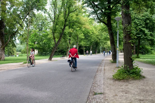 Вид Людей Які Їздять Велосипедах Ходять Дерева Дороги Вонделпарк Амстердамі — стокове фото