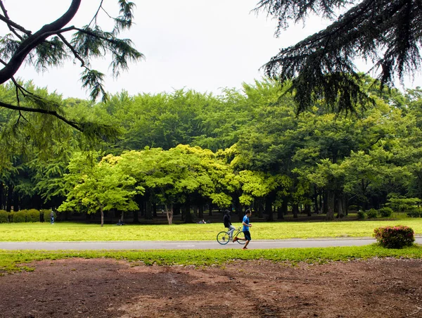 在东京的由纪园 人们欣赏大自然 — 图库照片