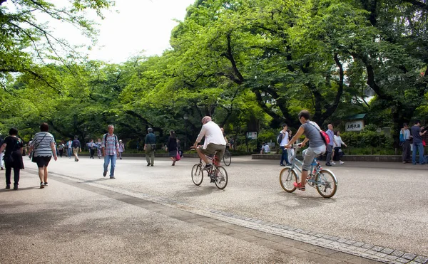 Токио Май 2016 Люди Наслаждаются Парком Уэно Мая 2016 Года — стоковое фото