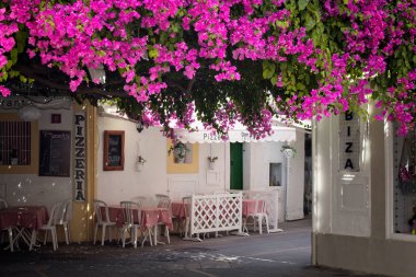 Eski İbiza kasabasında begonville çiçekleriyle kaplı bir pizzacı manzarası.