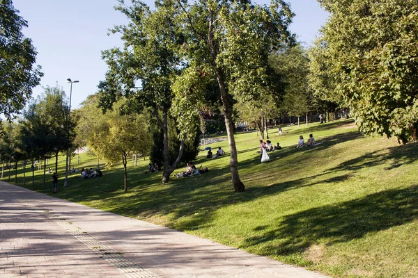 Güneşli Yaz Gününde Nisantasi Stanbul Daki Parkta Çimlerin Üzerinde Takılan — Stok fotoğraf